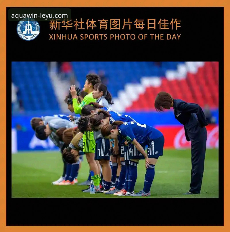 4步搞定乐鱼体育官方下载：从安装到直播观赛的实战指南